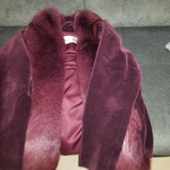 Jacket - Picture 5 of 5